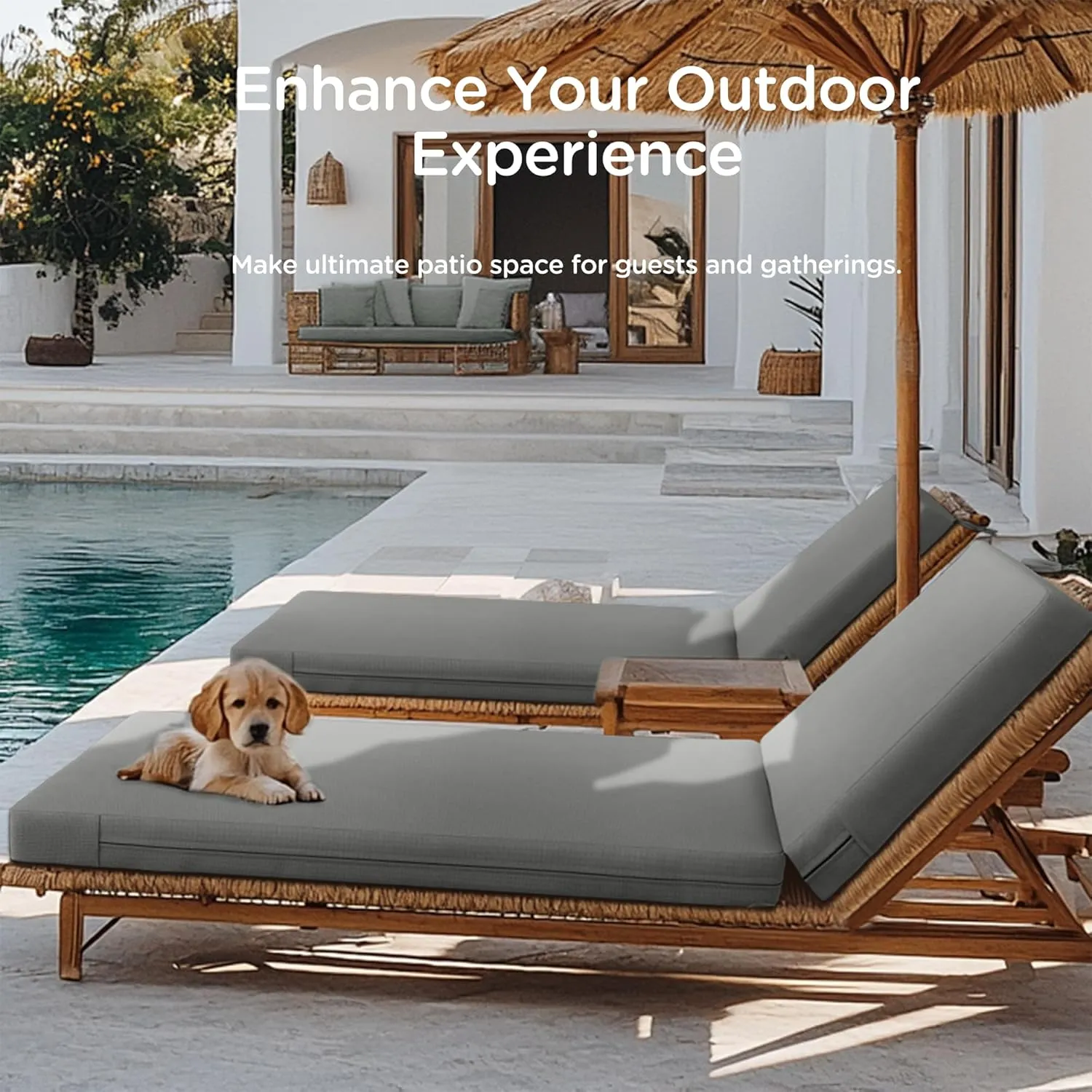 Codi Outdoor Lounge Chair Cushions, Chaise Cushion for Patio Furniture, Double Waterproof Fabric for Pool, 72 x 22.5 x 3.5 Inch 1PK Grey