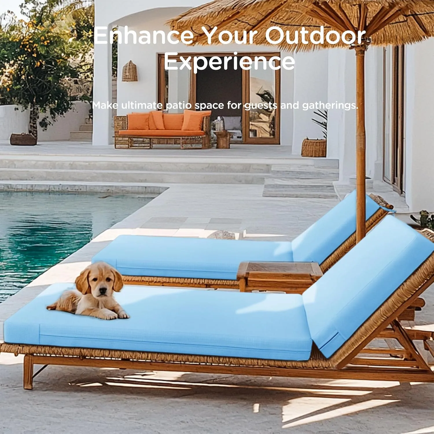 Codi Outdoor Lounge Chair Cushions, Chaise Cushion for Patio Furniture, Double Waterproof Fabric for Pool, Garden and Beach, 70 x 22.5 x 3.5 Inch 1PK Teal Blue