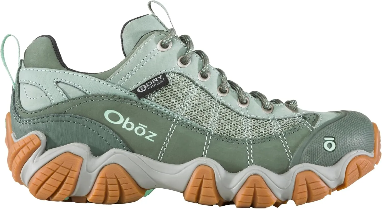 Oboz Women's Firebrand II Low B-Dry Hiking Shoe