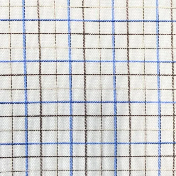 Oxford Mini Check