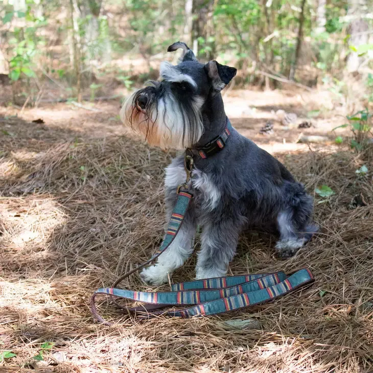 Pendleton Pet Vintage Camp Hiker Leash | Made in USA with Antique Brass Clip and Durable Nylon Webbing
