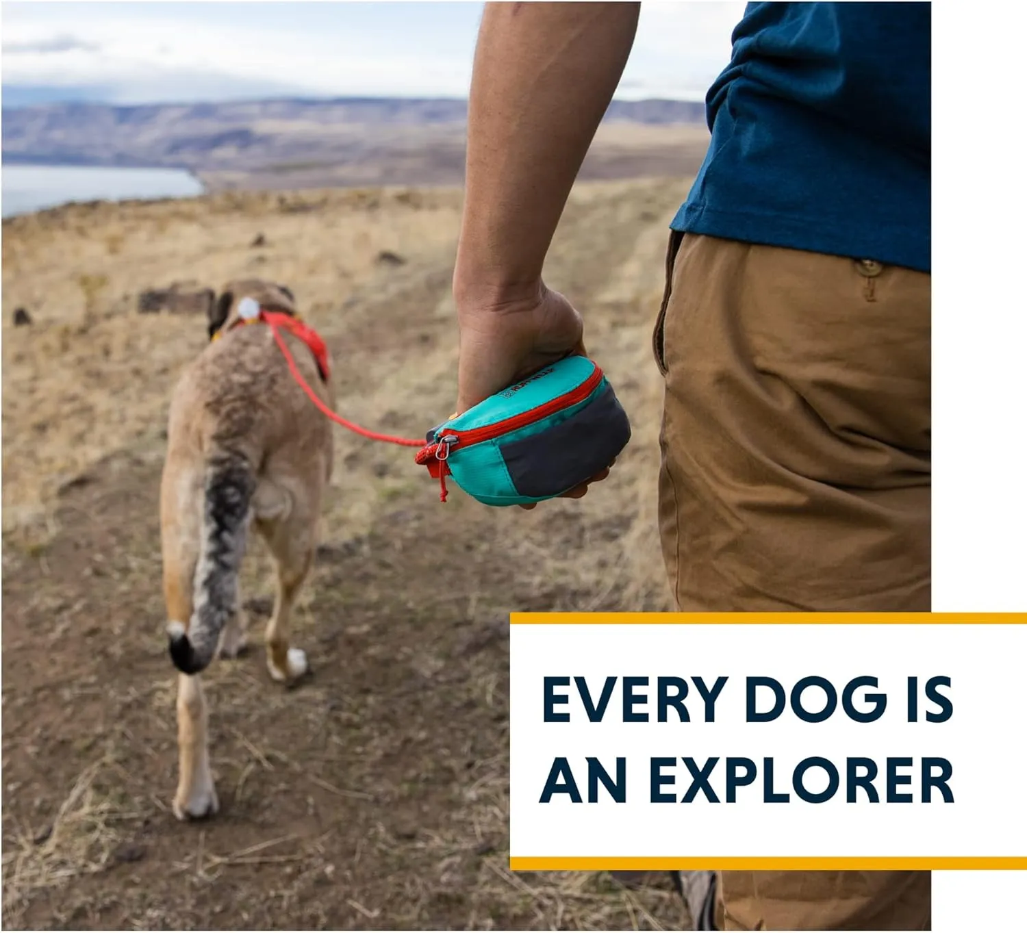 Ruffwear, Hitch Hiker Dog Leash, Adjustable Leash & Hitching System for Camping & Hiking, Slate Blue