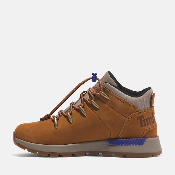 Sprint Trekker Hiker For Junior