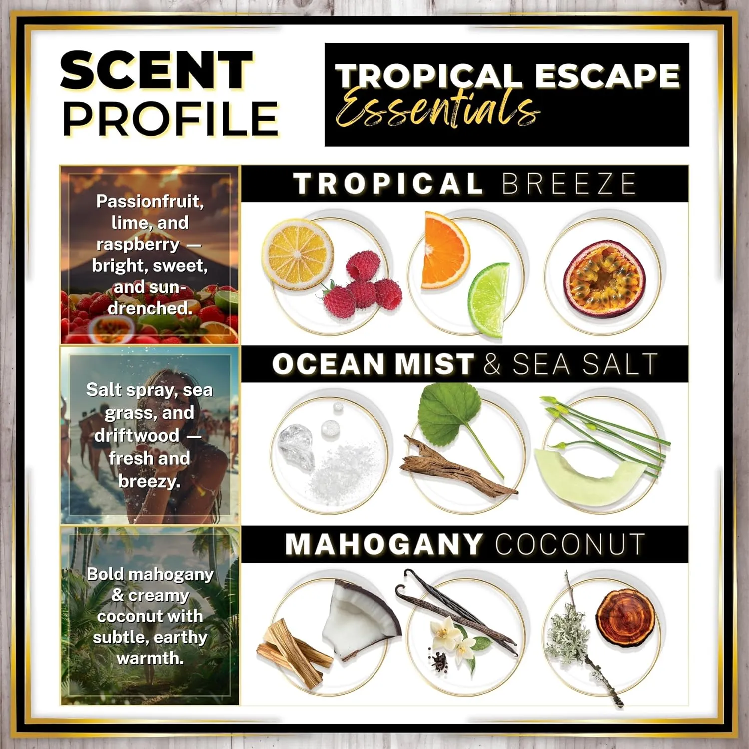 Urban Naturals Car Air Freshener Diffuser 3 Pack - Tropical Escape Essentials Scent, 45  Days Long Lasting Fragrance, Made in USA, Glass & Wood, Hanging Design   Vent Cip, Easy to Use