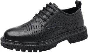 YZABEL Men's Pointed Toe Non Slip Low Top Chunky Heels Oxfords Shoes, Stylish Lace-Up Business Casual Shoes, Breathable Hollow for Daily Commuting Activity
